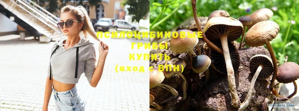 мдпв Нефтегорск