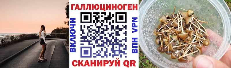 Псилоцибиновые грибы Cubensis Голицыно